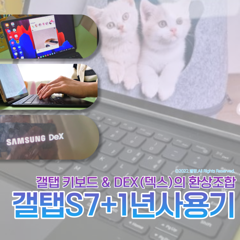 갤탭 s7+ 키보드 1년 후기 : 태블릿 인스타 가로 버전 등 댁스(dex) 100% 활용 꿀팁