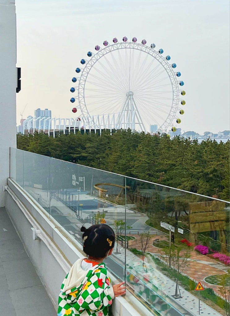  [속초] 소나무 오션뷰에 관람차까지 ! 뷰 맛집 '보사노바'