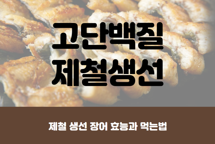  5월 제철 생선 장어 효능, 단백질 많은 음식