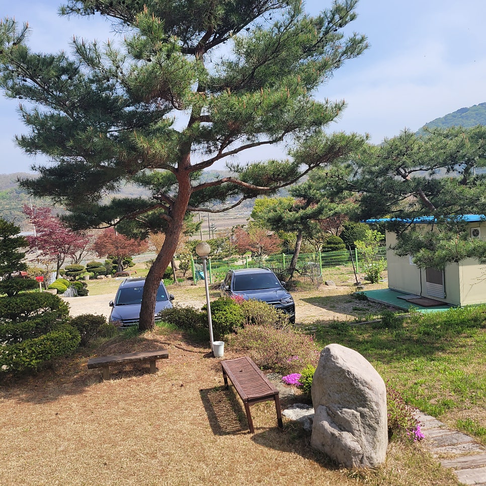 소나무펜션 사진 3