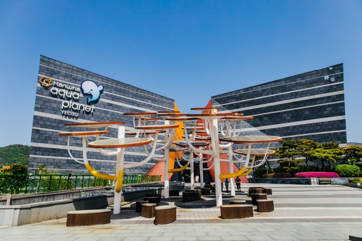 여수 여행 코스 아쿠아플라넷 외 가볼만한곳 추천(최저가할인정보) 여수 여행 코스 아쿠아플라넷 외 가볼만한곳 추천(최저가할인정보)