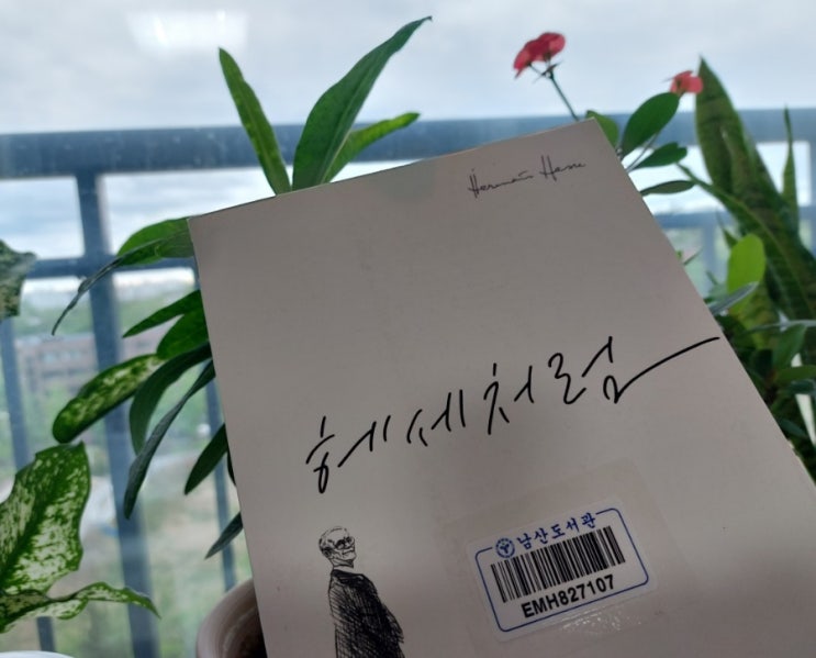 헤세처럼 꼭 한번 따라 쓰고 싶은 헤세의 문장들 헤세처럼 꼭 한번 따라 쓰고 싶은 헤세의 문장들