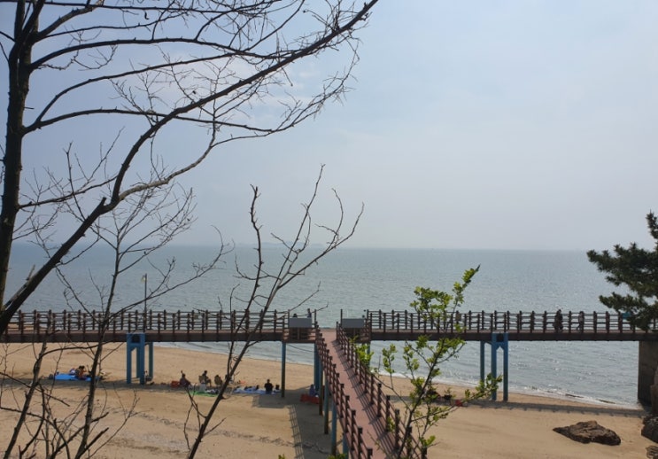  [경기도 가볼만한 곳/화성] 1박2일ㆍ제부도ㆍ물때시간표(통행시간표)ㆍ양지리조텔ㆍ조개찜맛집 양지어촌