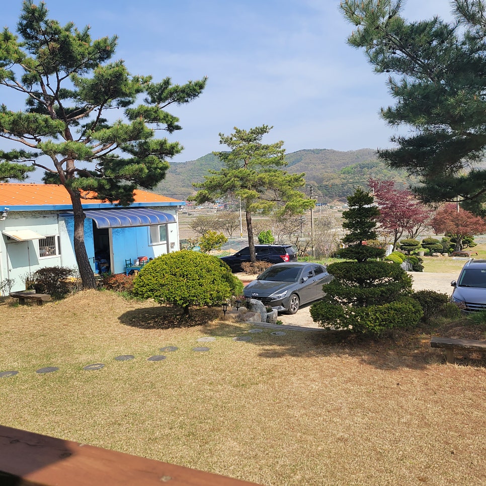 소나무펜션 사진 2
