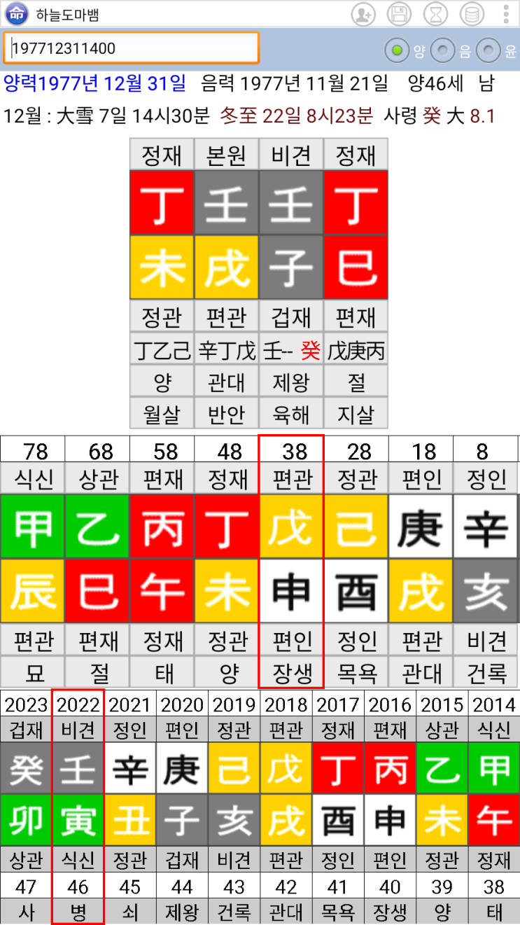  싸이 사주 - 임술일주