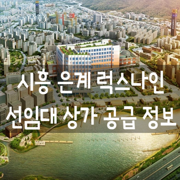 시흥 은계지구 럭스나인오피스텔 선임대 상가 잔여호실 공급 정보
