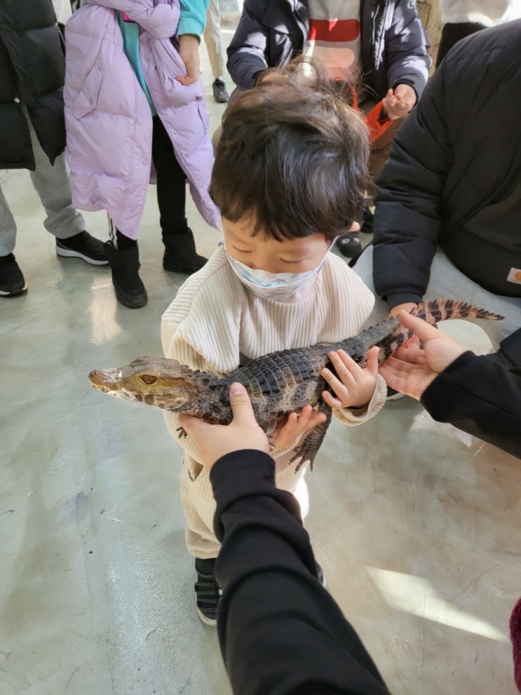 [오산] 실내동물원 오산버드파크 동물체험이 가능한 아이와가볼만한곳