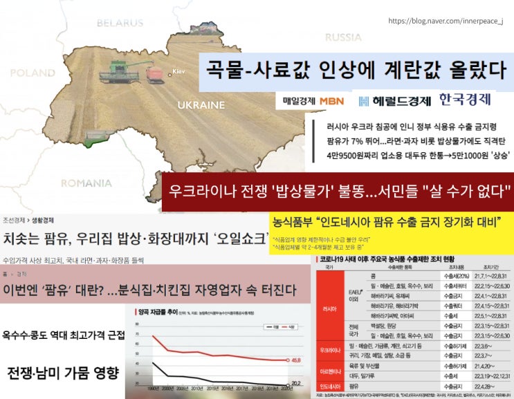  인니 팜유 수출 중단으로 눈앞에 닥친 치킨 3만원 시대