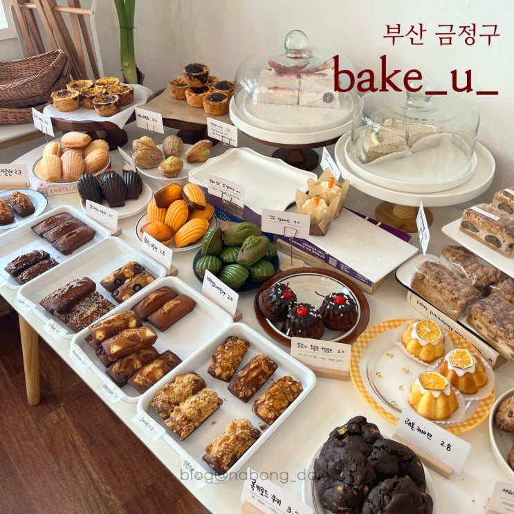  부산대 빵집 | 구움과자 디저트 맛있는 베이크유 | 부산 빵지순례