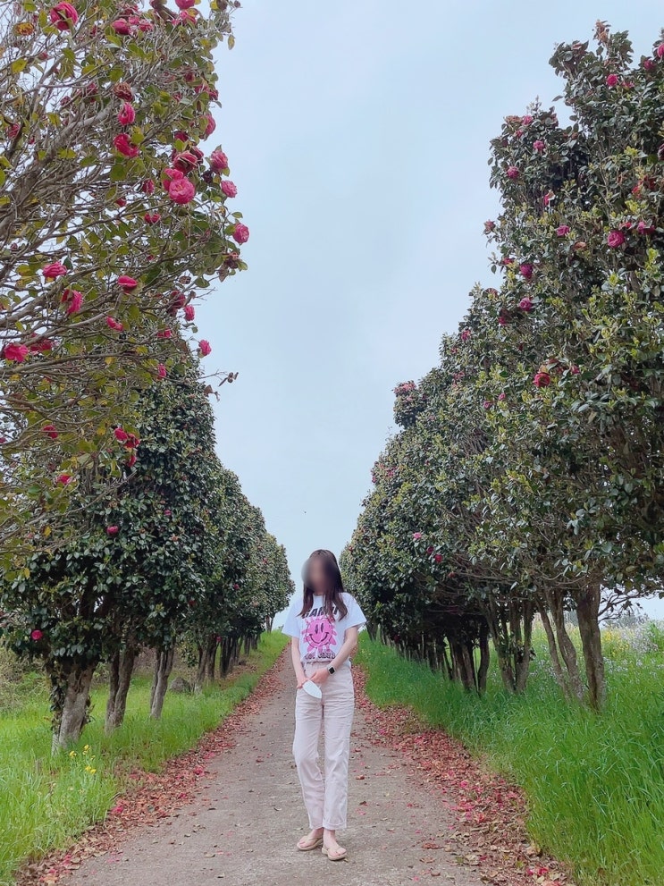  [직구] SSENSE(센스닷컴) GANNI(가니) 티셔츠 직구 후기, 착샷, 사이즈