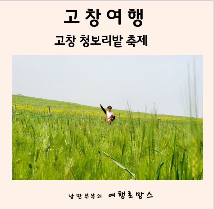  학원관광농원 고창청보리밭축제::고창볼거리 청보리밭,유채꽃