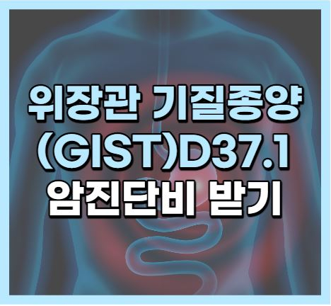  위장관기질종양 GIST (D37.1)일반암 보험금 분쟁