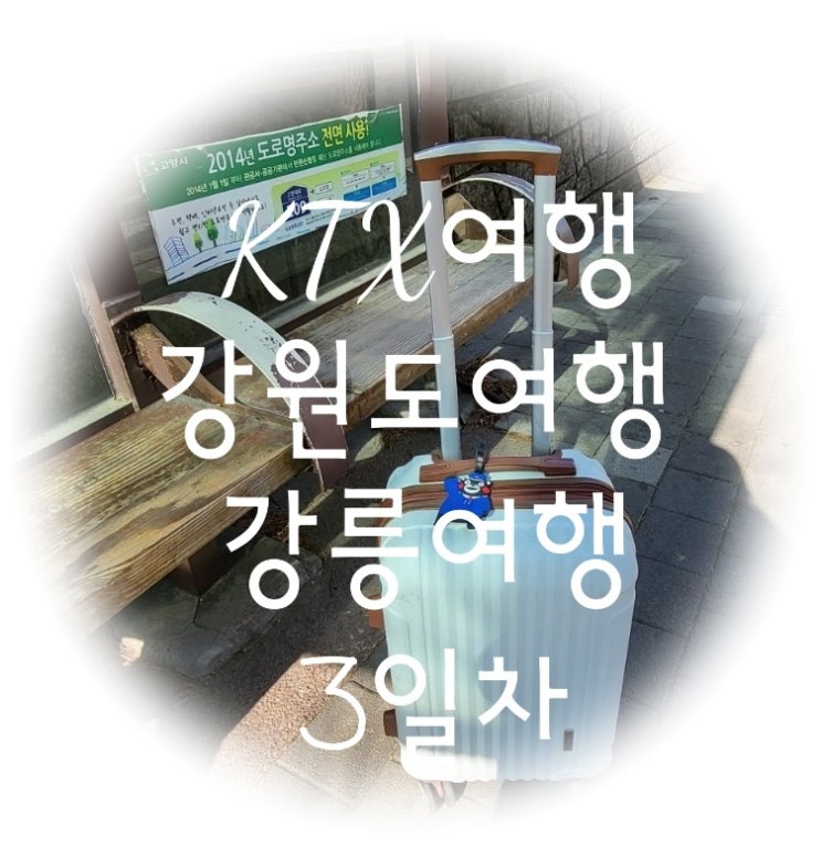  KTX여행 강원도여행 겨울맛집 강릉여행 3일차