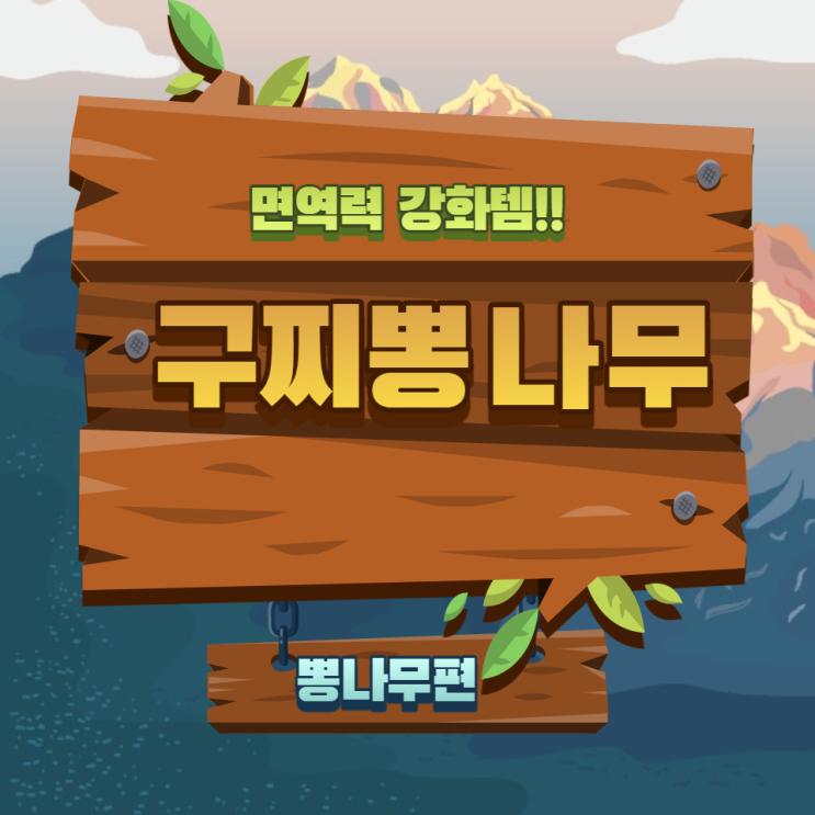구찌뽕 나무 효능 꾸찌뽕잎 추출물 꾸찌뽕잎차 먹는법 구찌뽕 나무 효능 꾸찌뽕잎 추출물 꾸찌뽕잎차 먹는법