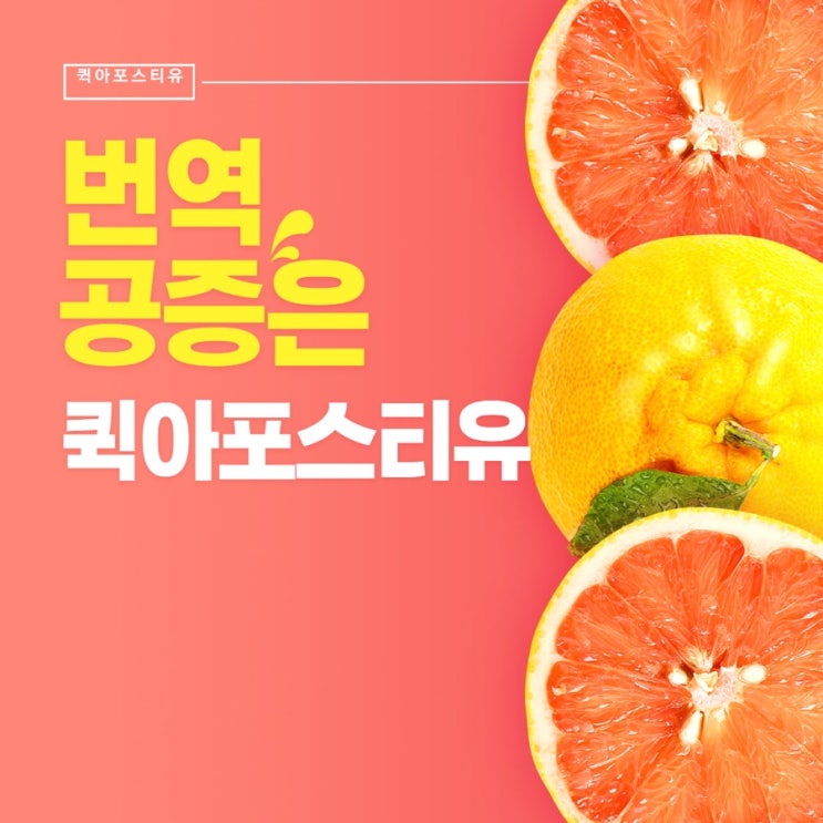  번역공증 촉탁 대행은 퀵아포스티유에서️