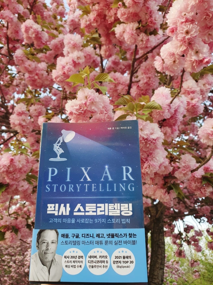 토이스토리, 업, LOVER라면 꼭 읽어보면 좋을 마케팅 및 브랜딩 도서: 픽사 스토리텔링