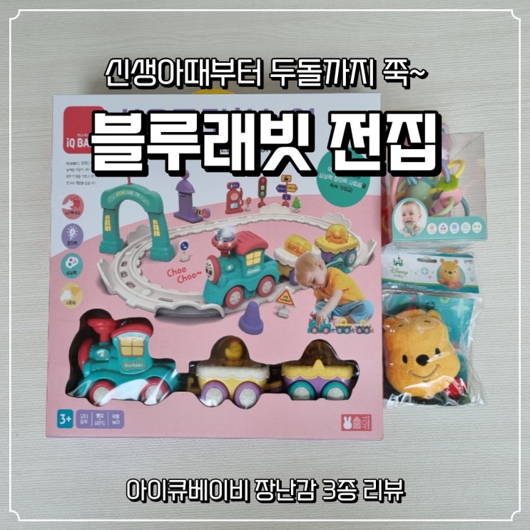  [블루래빗 아이큐베이비] 9개월 아기 장난감 (신생아때부터 두돌까지)