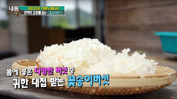  꽃송이버섯의 효능/부작용