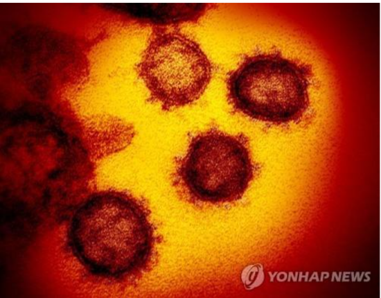 "스텔스 오미크론보다 전파력 20% 높다"…싱가포르서 'BA.2.12.1 변이' 확인 "스텔스 오미크론보다 전파력 20% 높다"…싱가포르서 'BA.2.12.1 변이' 확인