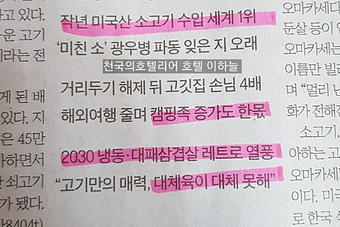 더고기다움 이미지