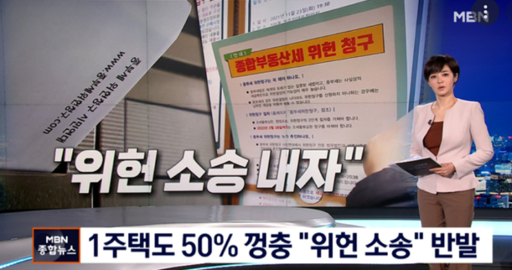  종부세 위헌청구소송 가격과 무임승차 방법