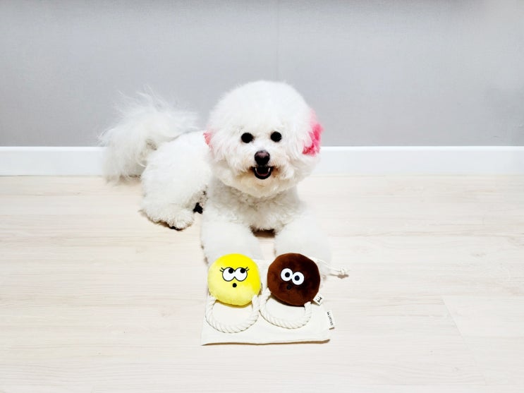 강아지장난감 똥그리 터그놀이 장난감 튼튼해요! 강아지장난감 똥그리 터그놀이 장난감 튼튼해요!