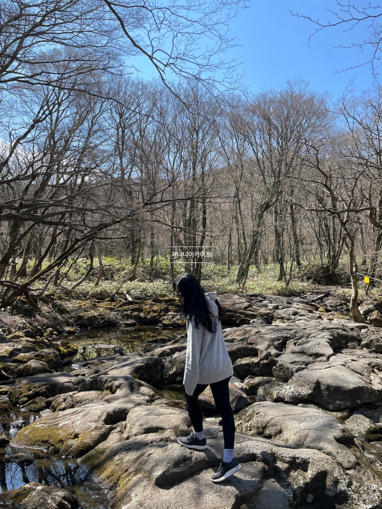  한라산 관음사코스 등산 초보자의 후기