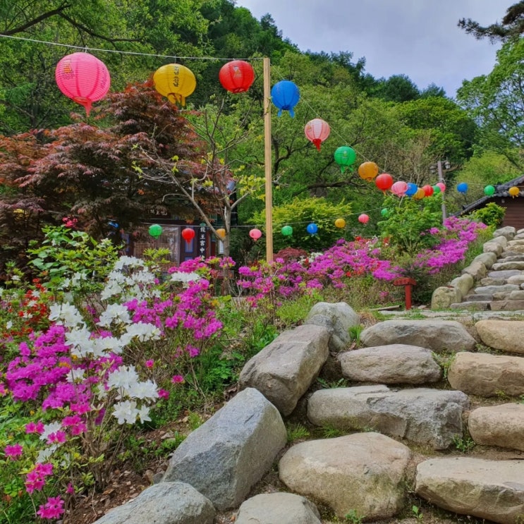  마음길 밝혀가는  산책길 대구 수성구 도심속 사찰 [청계사]