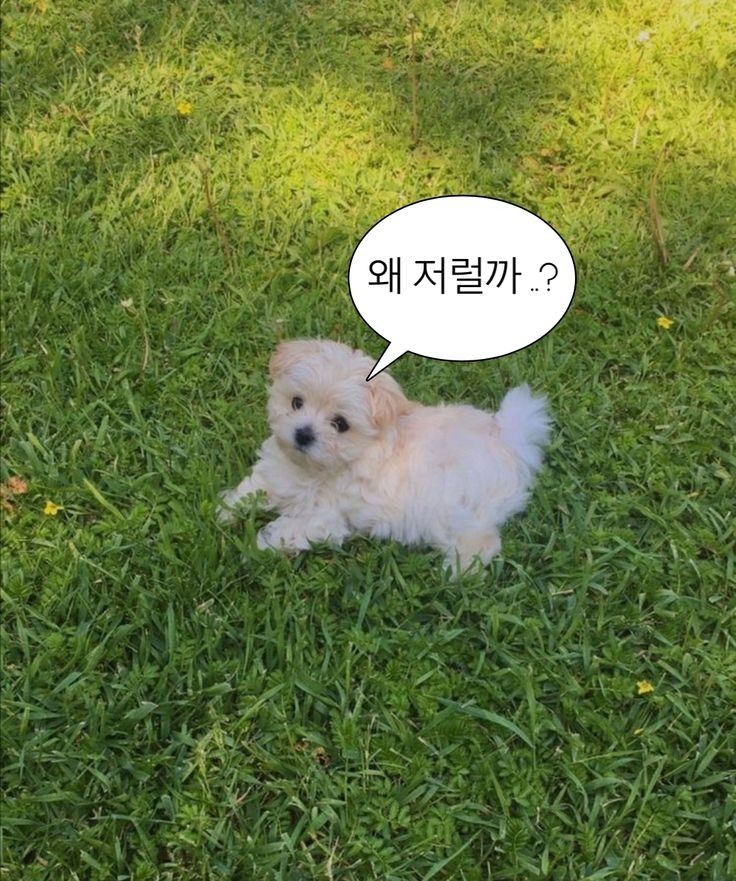  말함부로하는사람