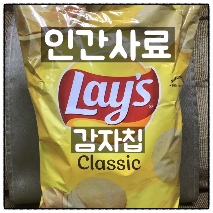  코스트코 감자칩 인간사료 레이즈 Lay's 대용량 리뷰