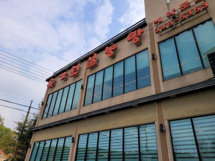 오늘 아점은 파주 유가원설렁탕 오늘 아점은 파주 유가원설렁탕
