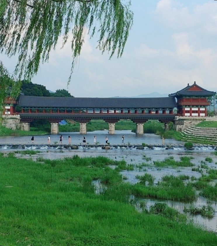  첨성대 대릉원 등 경주 가볼만한곳 자전거 일주 및 황리단길 모텔촌 맛집 강남뒷고기