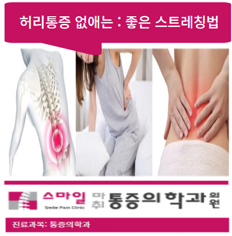  [허리아플때 : 통증완화방법] 좋은 운동 및 스트레칭