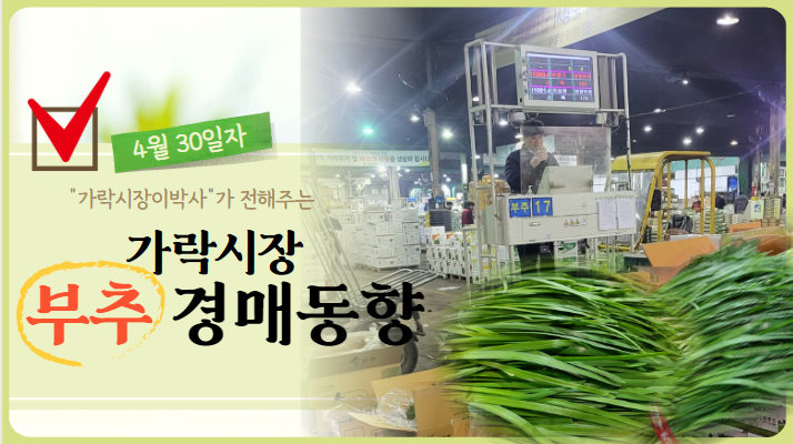  [가락시장 일일보고] 가락시장 4월 30일자 "부추" 경매동향을 살펴보겠습니다!