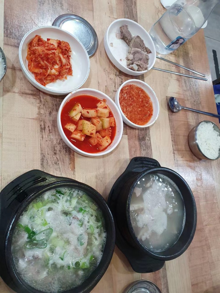  일상,블로그 저품질,오산 부용식당 순대국밥