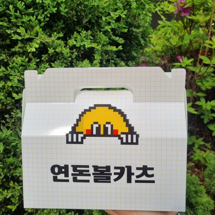  대전 은행동 맛집 제주에서 온 연돈볼카츠 솔직후기
