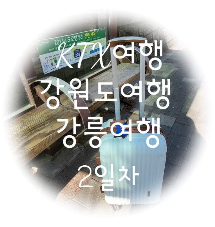  KTX여행 강원도여행 겨울맛집 강릉여행 2일차