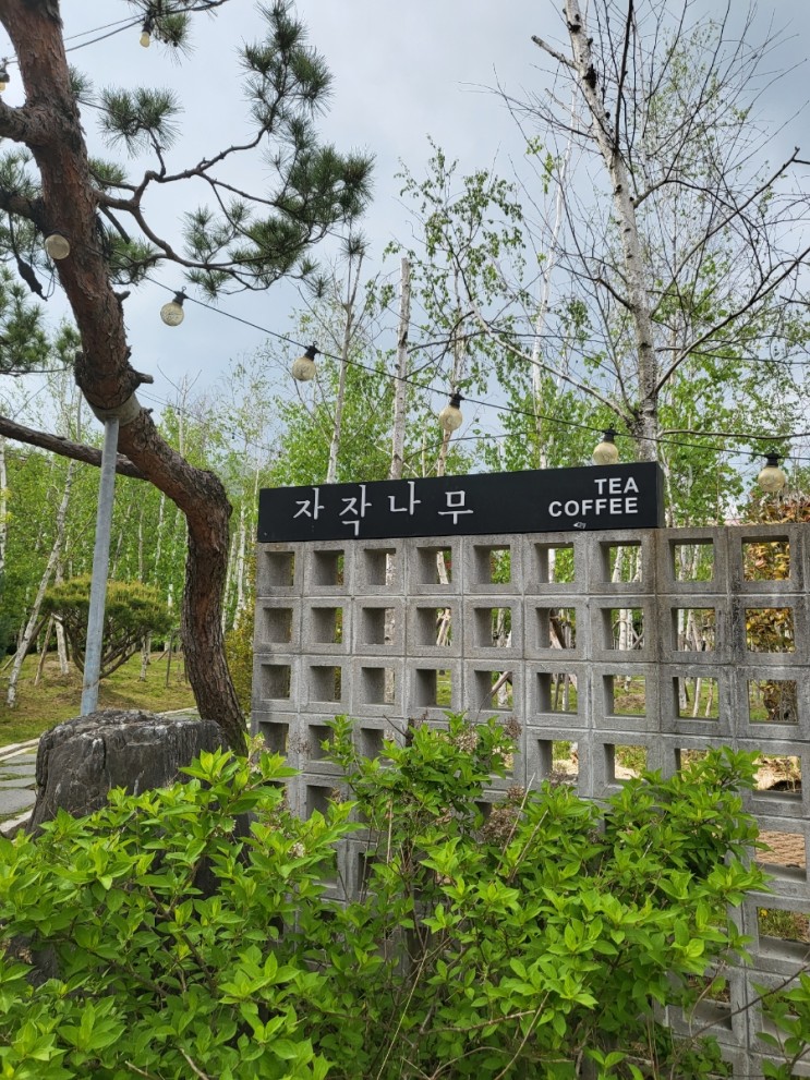 대전 야외 정원 카페 '자작나무 커피'