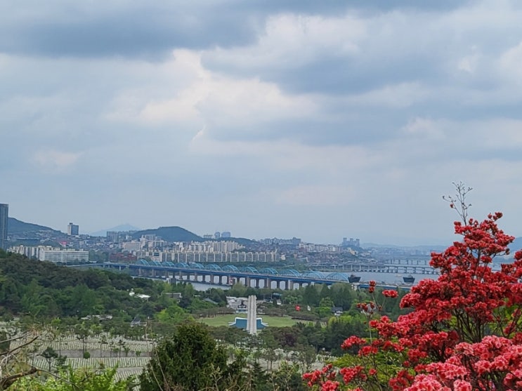  동작 국립현충원 :: 아기와 현충원, 6개월 아기와 산책, 서울 벚꽃 명소