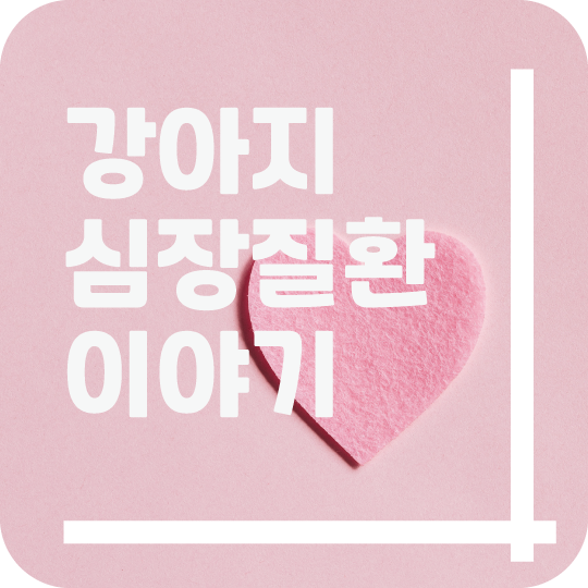  강아지 기침이 심하다면 혹시? 심장질환?