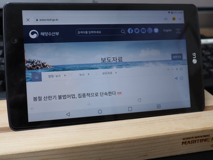  [바다소식] 5월 봄철 산란기 불법어업, 집중단속 실시! 금어기 준수!