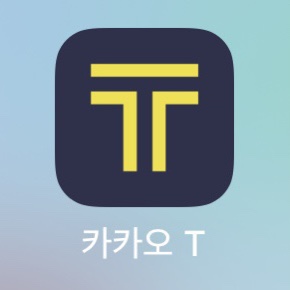  카카오 택시 등급