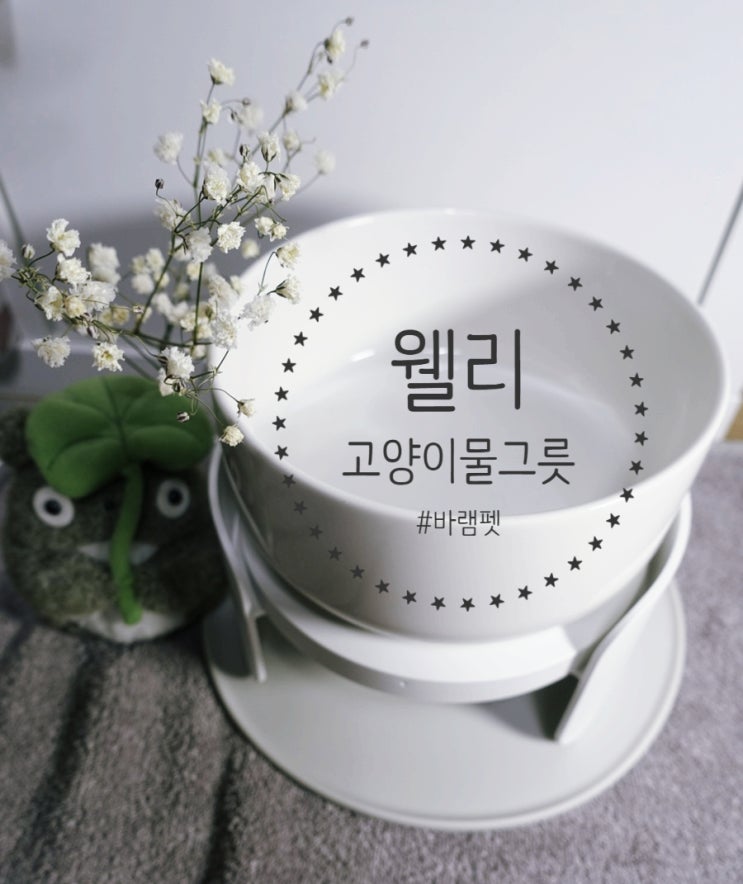  고양이물그릇, 신부전고양이 필수템 #고양이수반 #고양이식기 #바램펫 웰리 #보이는펫케어