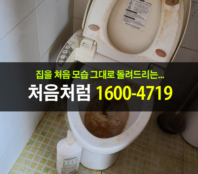  강서구 방화동에서 원룸 쓰레기 집 청소를 하면서 엘리베이터를 사용하지 못하는 상황!