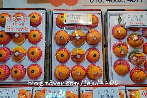 오늘청과2 이미지