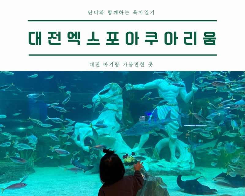 대전 아이랑 엑스포 아쿠아리움
