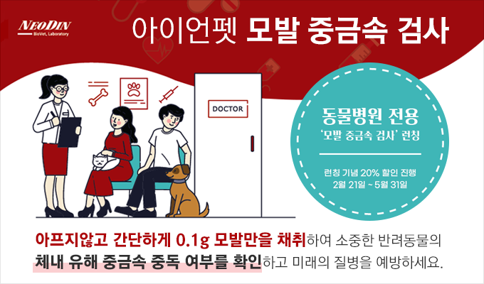 만성신장병 관리 최신 트렌드, 5월 12일 이글벳 웨비나 만성신장병 관리 최신 트렌드, 5월 12일 이글벳 웨비나