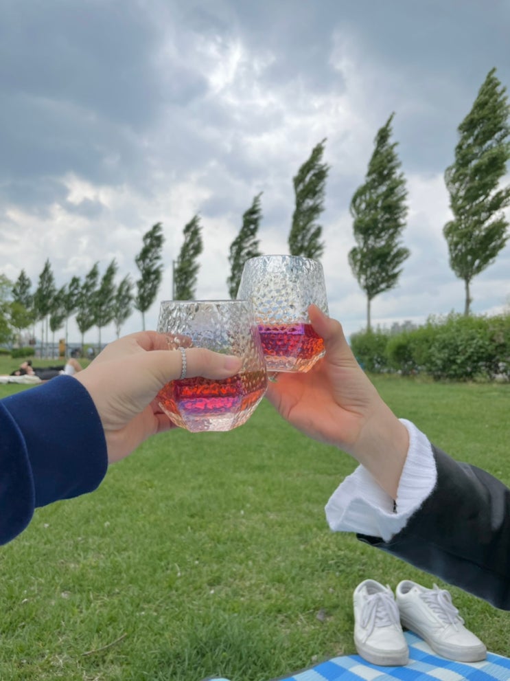  술알못의 술기록 1탄 (우곡생주, 쁘띠쁘띠, 일품안동소주, 심술12도, 댄싱사이더 와쥬블루)