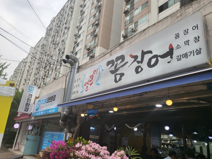  내 돈 내산 선유 얼큰이 꼼장어먹고 선유도공원 산책