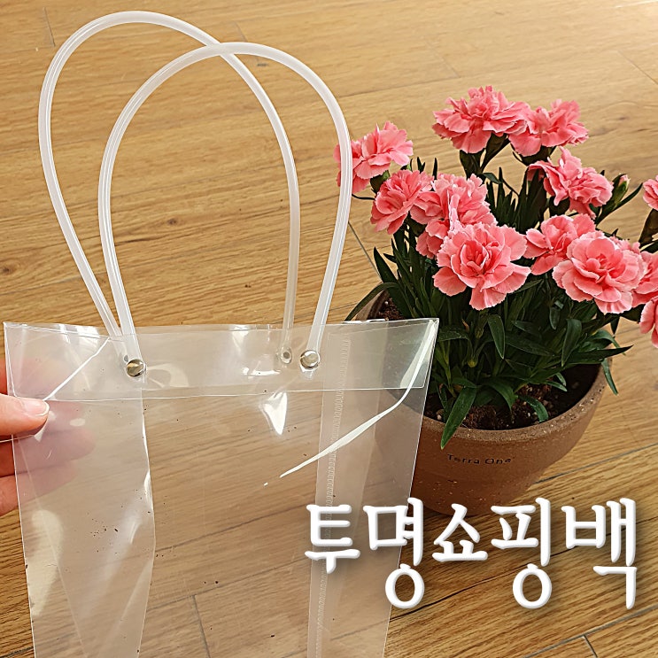  원예용 투명 쇼핑백 리뷰, 카네이션 꽃 선물 포장(화분 지름15cm엔 소 사이즈 추천/다이소 선물백)